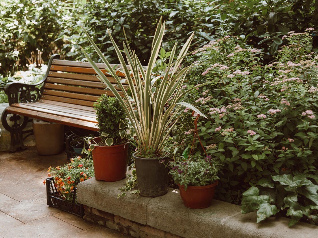 A Beginner's Guide to Starting Your First Garden